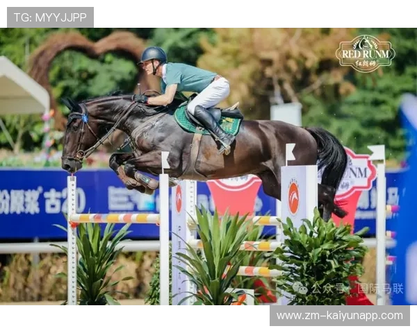 比利时马术队在2024年国际马术联合会障碍赛世界巡回赛中获得团体第六名，展现出色表现。